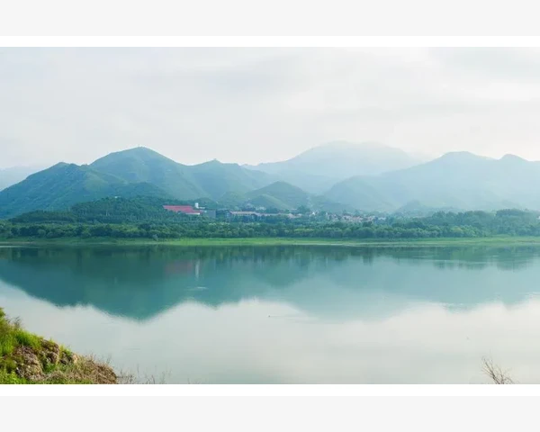 甲减吃什么好用？——中医治疗甲亢疾病